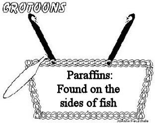 crotoon