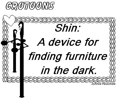 Shin