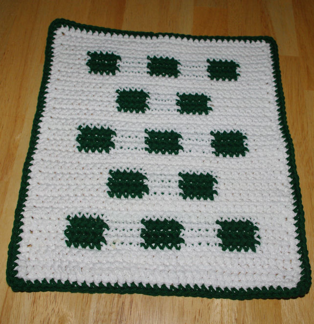 Check It Out Dishcloth