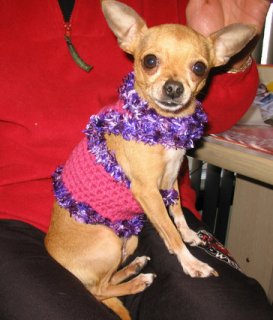Crochet Dog Sweater Pattern