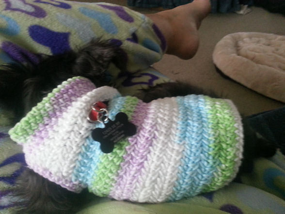 Free Dog Sweater Crochet Pattern