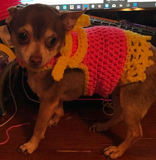 Free Dog Sweater Crochet Pattern 