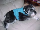 Ribbed Edge Dog Sweater Crochet Pattern