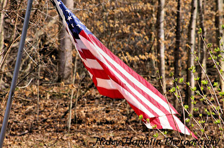 Haley Hamblin Photography - United States Flag