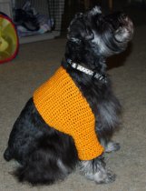 Sawyer's Shrug Crochet Pattern