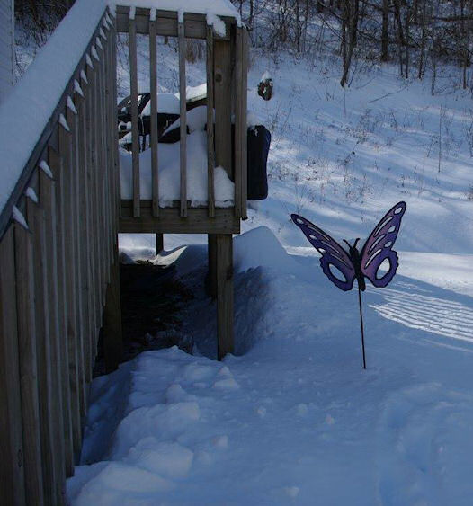 snow 2015