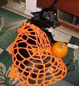 Spiderweb Table Topper with Bow Wow